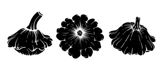 Patisson black sketch silhouette symbol. Set Icon vegetables vector illustration. 