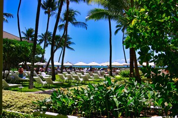 Fototapeta premium ハワイ州オアフ島 ワイキキ観光