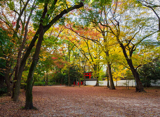 秋の京都　下鴨神社　糺の森