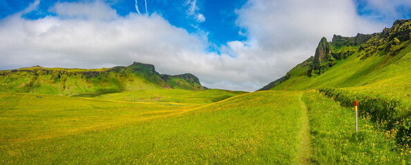 Panoramic view over hiking trail through yellow meadow flowers field near Vik town, South Iceland at summer sunny day and blue sky.