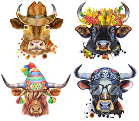 Set of watercolor bulls on white background.