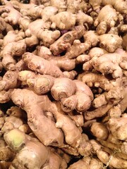 selective focus on ginger (Zingiber officinale)