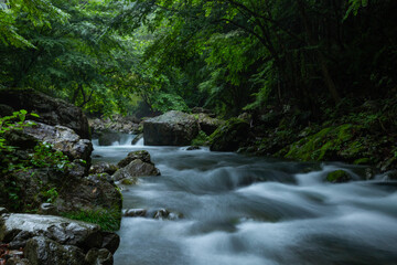 Fototapeta premium 渓谷