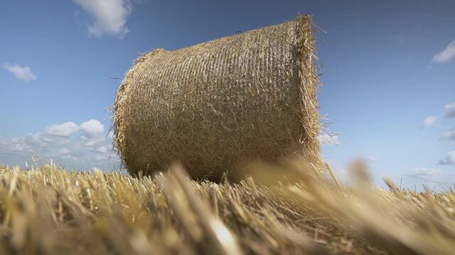 Big round bale of hay straw or wheat on farmland field under blue sky. Agricultural concept.