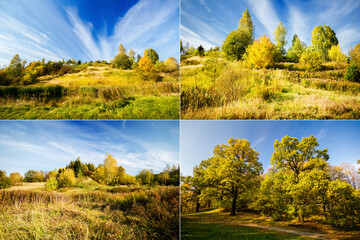 Collection of images with beautiful autumn trees