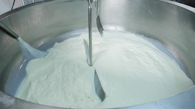 Dairy Plant Milk Collecting and Pasteurization Tank. Milk flowing into the Pasteurization Tank with large stirring blade starting to mix - close up
