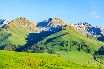 Obraz premium Nalati grassland with beautiful mountain natural landscape in Xinjiang,China.