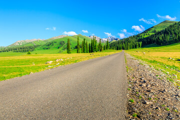 Fototapeta na wymiar Empty road and beautiful mountain with green grass in Nalati grassland,Xinjiang,China.