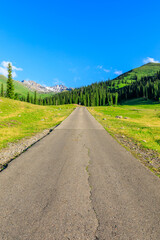 Straight road and beautiful mountain with green grass in Nalati grassland,Xinjiang,China.