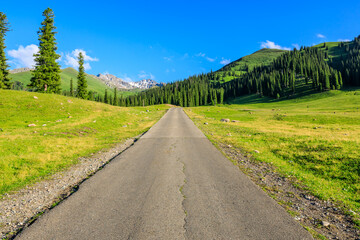 Straight road and beautiful mountain with green grass in Nalati grassland,Xinjiang,China.