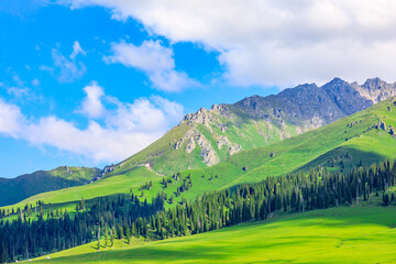 Nalati grassland with beautiful mountain natural landscape in Xinjiang,China.