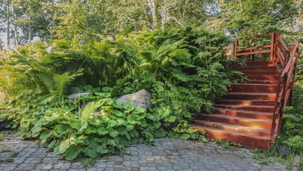 Landscape design in the park. A wooden staircase with a railing rises to the hill. Overgrown with green plants, ferns. Stones among the greenery. A sunny summer day
