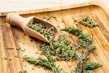 Artemisia vulgaris the common mugwort plant parts on wood spoon on natural color wood tray, indoors studio shot. Herbal medicine concept.