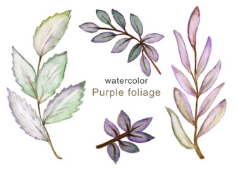 Watercolor drawing of green leaves,Hand drawn watercolor leaves set isolated on white.Set of watercolor leaves.