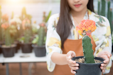 Asian woman business owner working on gardening cactus in greenhouse,Young woman cheerful with the...