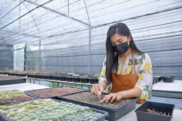 Asian woman business owner working on gardening cactus in greenhouse,Young woman cheerful with the cactus in the greenhouse farm