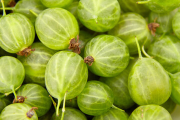 Goosebrry green berries food background. Ripe summer berries