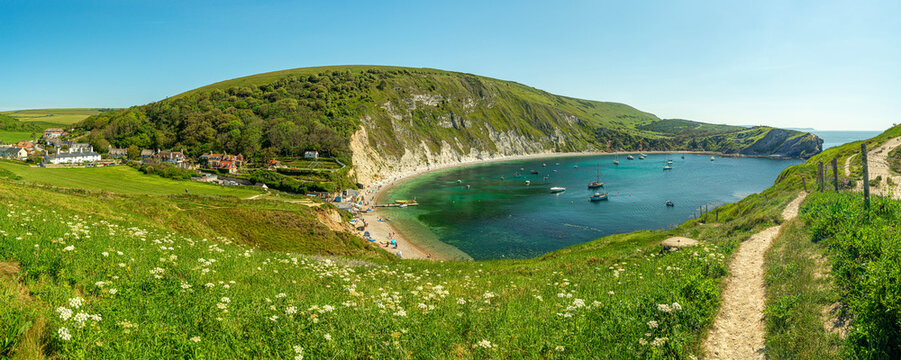 Lulworth cove with the SW coastal path on the hilltop on a bright summer's day with grass and flowers leading down to the beach. West Lulworth, Wareham, Dorset.