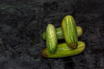Few fresh organic cucumbers on a black background with selective focus