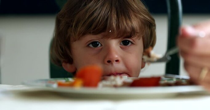 Little boy sitting at lunch table, mother fedding kid