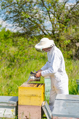 Man in protective suit in bee farm. Handsome beekeeper working with beehives.