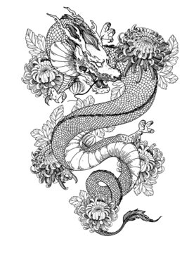 Chinese dragon with chrysanthemum flowers hand drawn vector illustration. Tattoo print. Hand drawn sketch illustration for t-shirt print, fabric and other uses.