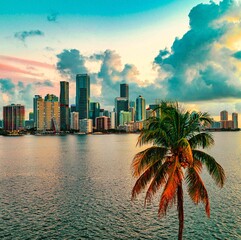 Naklejka premium city skyline at sunrise Miami Florida Brickell beautiful palms buildings sea sky clouds travel 