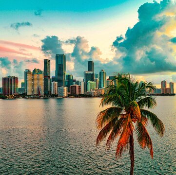 city skyline at sunrise Miami Florida Brickell beautiful palms buildings sea sky clouds  travel  