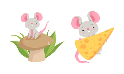 Cute Grey Mouse Character Sitting on Mushroom and Carrying Cheese Slab Vector Set