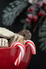 Christmas cookies in red bowl and cane candy, Christmas composition with food