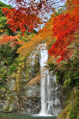 日本　大阪府箕面市にある箕面公園の箕面の滝と紅葉