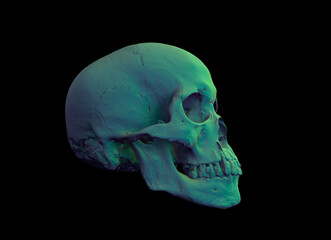 Human skull in profile face a black background. Concept art, death, horror for print, poster. Symbol of spooky Halloween, immortal, pirate. 3d rendering illustration. Graphic Design