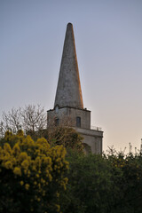 Beautiful closeup evening view of Killiney Obelisk and wild yellow gorse (Ulex) flowers growing everywhere in Ireland all the year round, Killiney Hill, Dublin, Ireland. Soft and selective focus