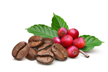 Roasted coffee beans with red coffee beans and leaves  isolated on white background.