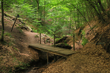 A wooden bridge on hiking trail Landgrafen Gorge (Landgrafenschlucht) near Eisenach in Thuringia -...