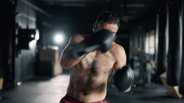 A muscular sportsman is boxing in the dark gym. Self confident boxer is looking at the camera and training indoors. Maximum focus and strength. Concept of lifestyle health and sports. Close up.