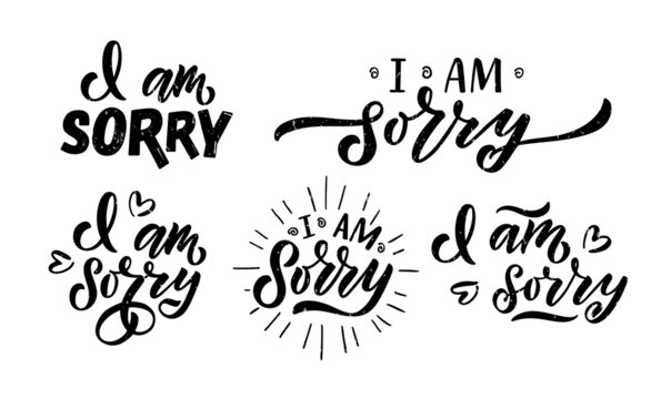 Hand sketched I am sorry lettering typography