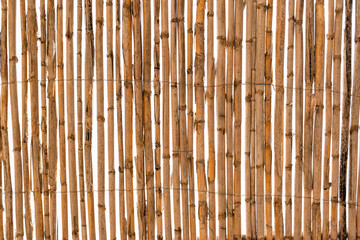 Bambus Hölzer