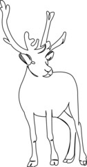 deer