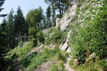 Falkenfelsen Schwarzwald