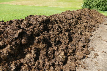 Dried cow dung on the green grass, Compost fertilizer shit for the environment, Top view texture background.