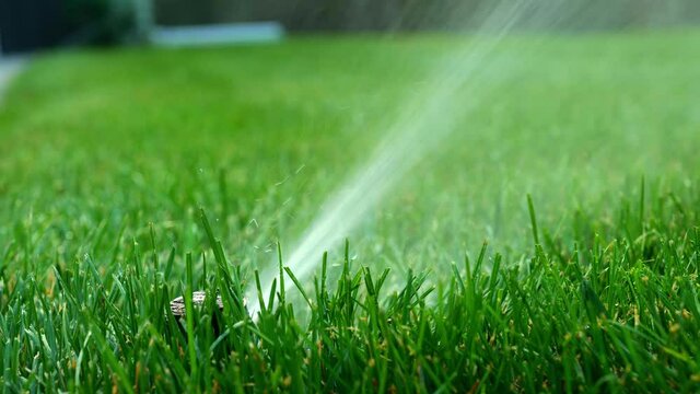 Closeup clip of a rotating lawn sprinkler head watering the green grass by spraying water as it turns.