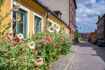 Characteristic Strolling streets with Picturesque Buildings in Lund