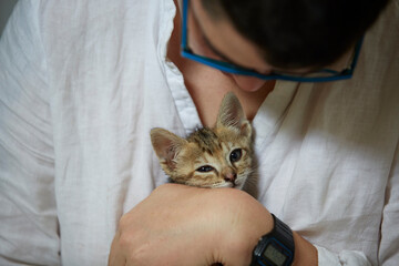 Non-binary person cuddles very young rescue kitten
