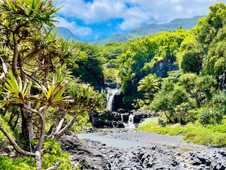 Fototapeta na wymiar Beautiful sites from Road to Hana in Maui