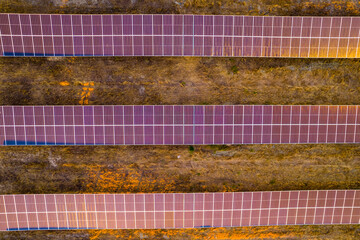 Solar panels at a massive solar power plant at sunset. Hundreds of moving solar panels ready to provide clean energy. Talasol plant. Drone aerial picture. Blue, purple and yellow tones.