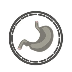 Symbol of organs in the large intestine.