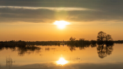 Flooded trees during a period of high water at sunset. Trees in water at dusk. Landscape with spring flooding of Pripyat River near Turov, Belarus. Nature and travel concept.