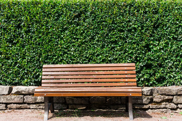 Park brown bench stands on the background of a hedge.