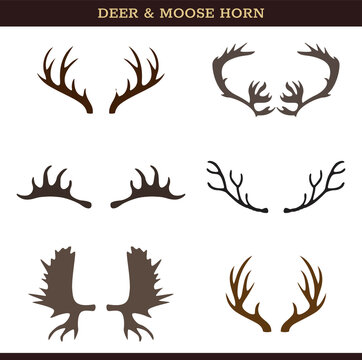 Deer and Moose Horn Vector Icon Set On White Background